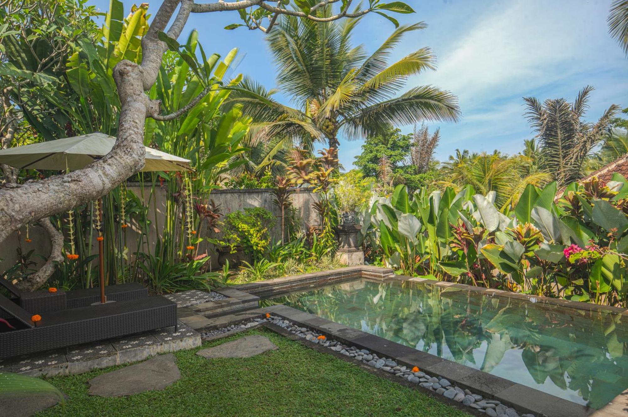 Taluh Bebek Ubud Private Villas Kültér fotó