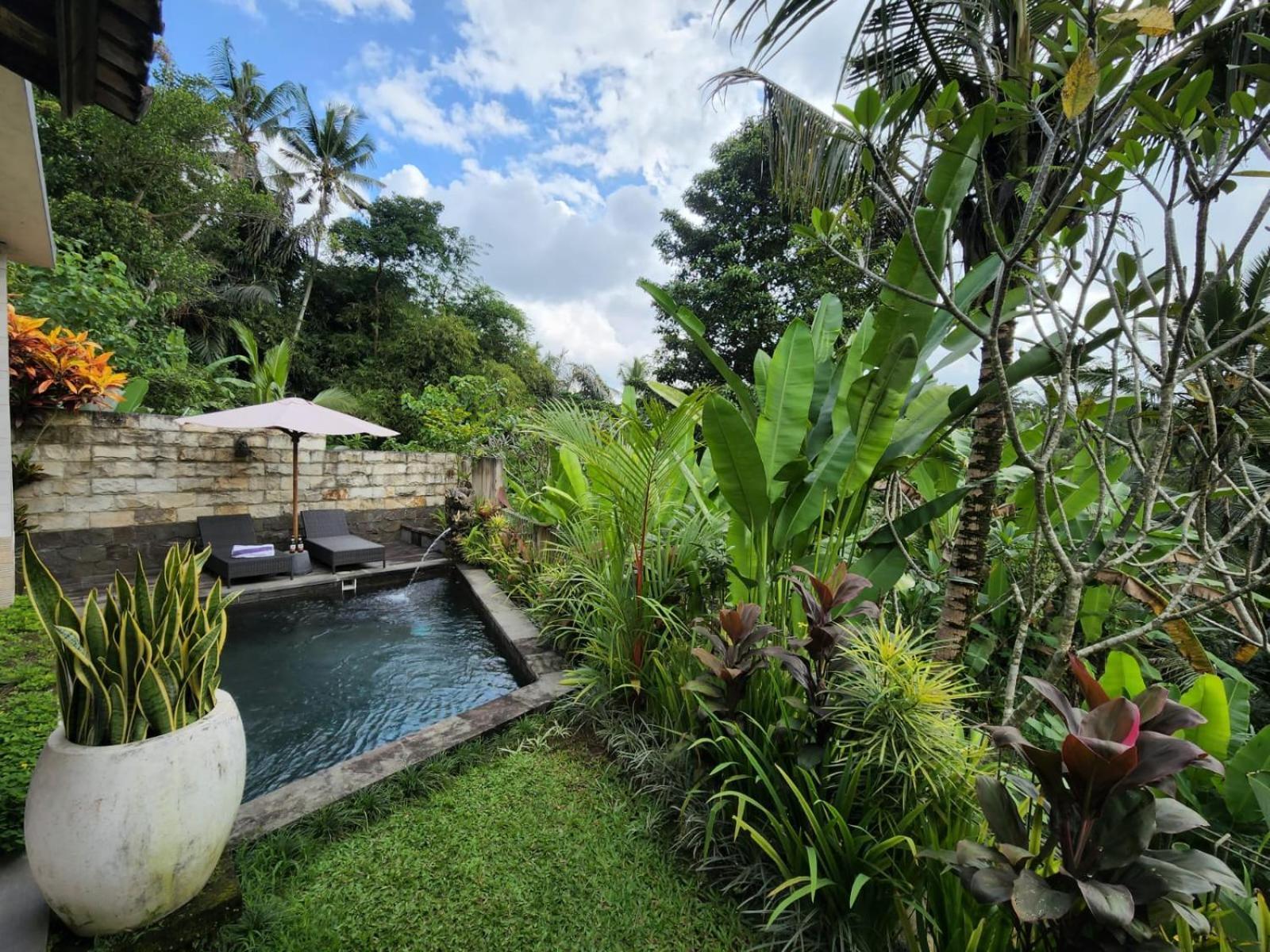 Taluh Bebek Ubud Private Villas Kültér fotó